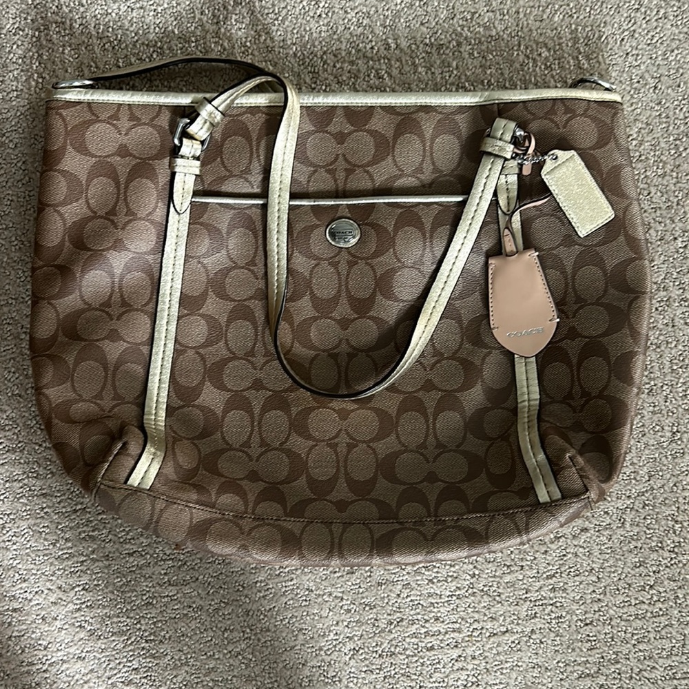 Coach bag stained interior